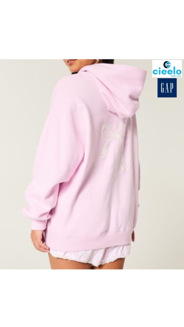 Sudadera Hollister con Capucha