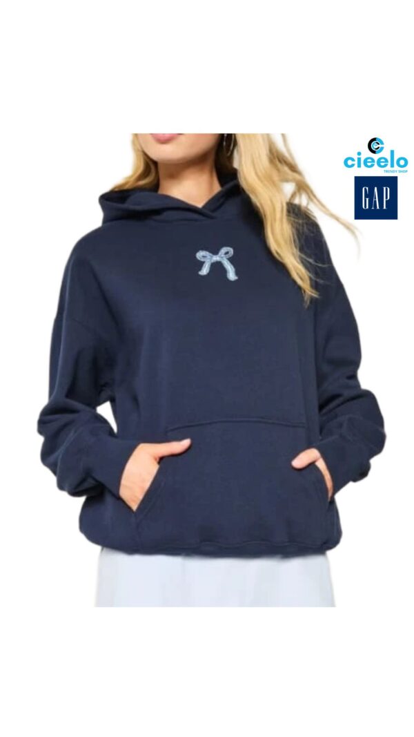Sudadera Hollister con Capucha