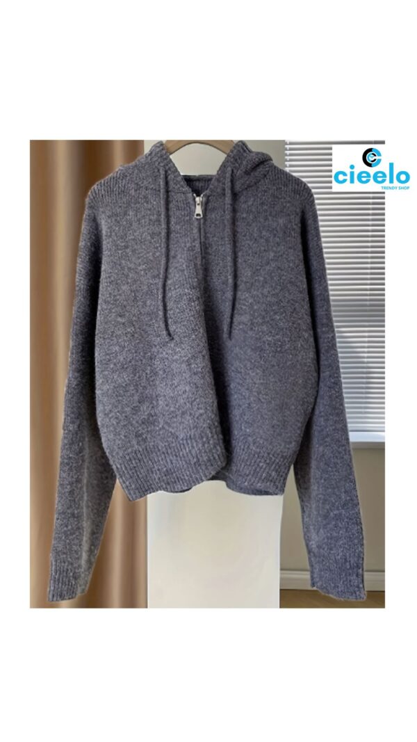 Suéter con Capucha Casual – Ideal para Otoño/Invierno