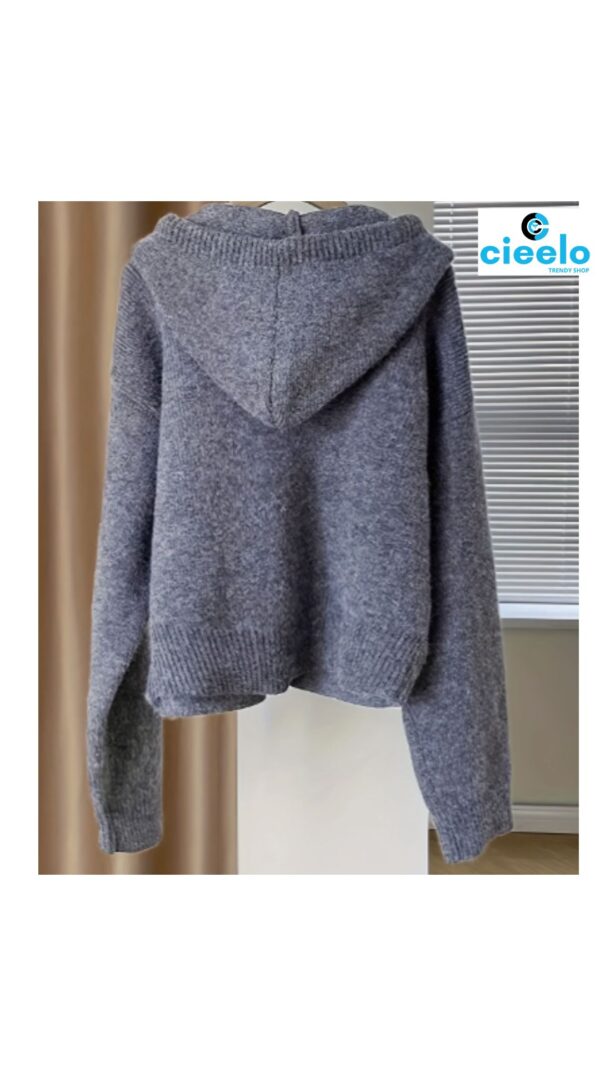 Suéter con Capucha Casual – Ideal para Otoño/Invierno