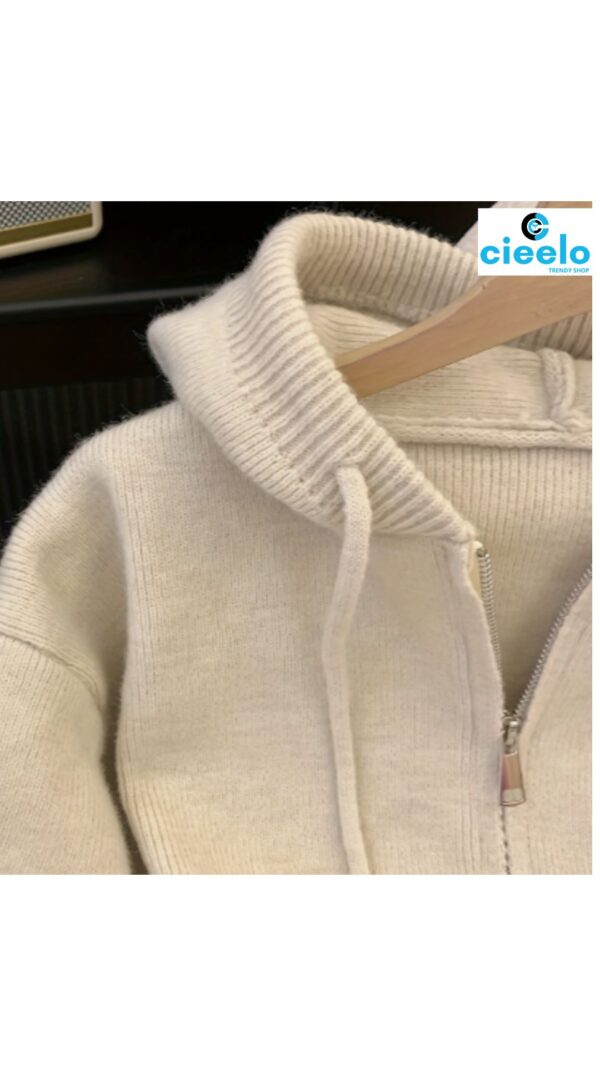 Suéter con Capucha Casual – Ideal para Otoño/Invierno