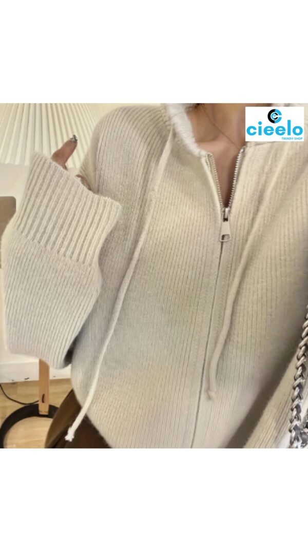 Suéter con Capucha Casual – Ideal para Otoño/Invierno